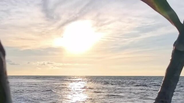 A serene coastal view of a bright sunset reflecting over rolling sea waves, framed naturally by tree branches overlooking a rocky shore under soft sky clouds.