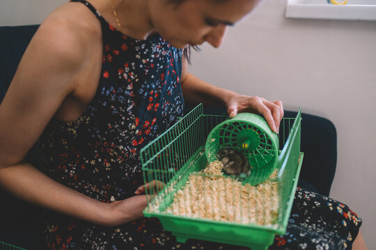 Cute hamster inside cage held by young woman