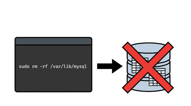 Database deletion command terminal and server illustration