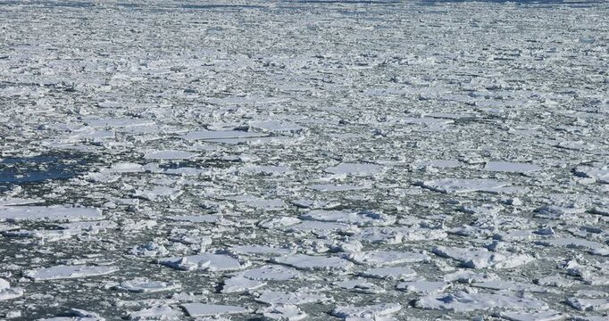 能取岬からオホーツク海の流氷
