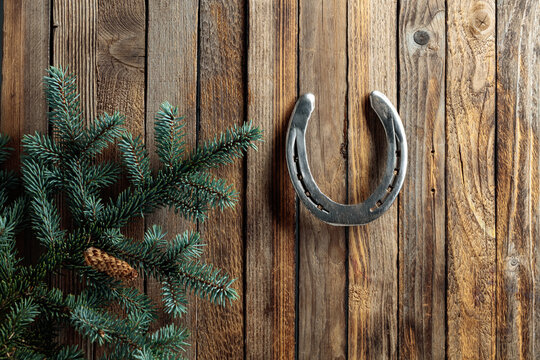 Old horseshoe and spruce branches on a wooden background.