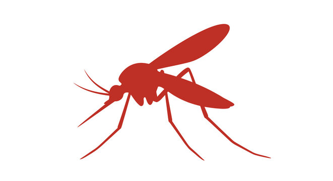 Red mosquito silhouette against a white background depicts the insect s form