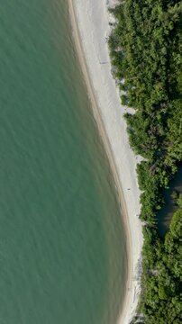 Florian&oacute;polis, Daniela Beach. Aerial View of Tropical Coastline. Establishing Shot. Santa Catarina, Brazil. Vertical video