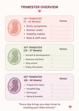 Pregnancy Trimester Overview Checklist - Printable Prenatal Planner with Fetus Illustration and Notes for 1st 2nd 3rd Trimester
