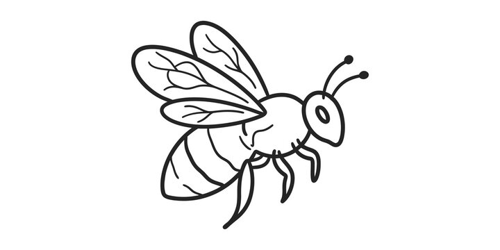 Flying bee sketch icon for nature environmental and honey production themes.