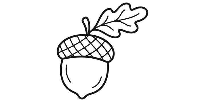 Black outline acorn with oak leaf graphic element for autumn fall themes.