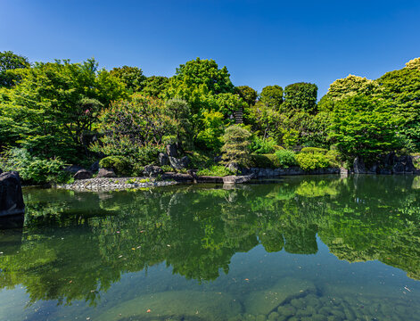 Clear blue sky and vibrant green trees reflected on the pond at Mejiro Garden May 2024