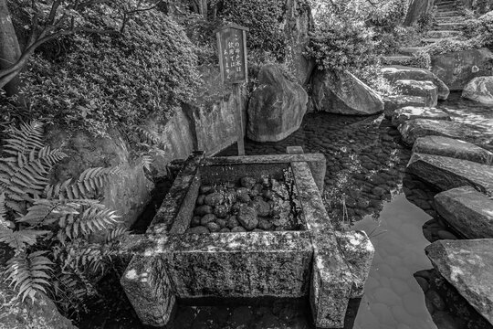 Monochromatic shot highlighting the texture of a traditional stone well at Mejiro Garden May 2024