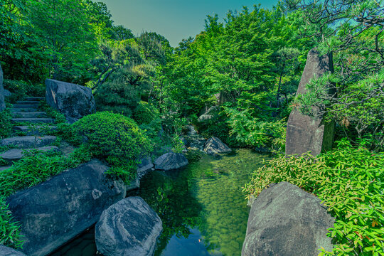 Clear stream flowing through green trees with impressive landscape rocks at Mejiro Garden May 2024