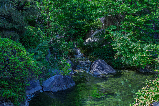 Quiet stream and small waterfall nestled in deep green foliage at Mejiro Garden May 2024