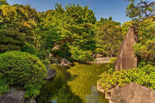 Sunlight illuminating clear stream water and river stones at Mejiro Garden May 2024