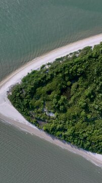 Florian&oacute;polis, Daniela Beach. Aerial View of Tropical Coastline. Establishing Shot. Santa Catarina, Brazil. Vertical video