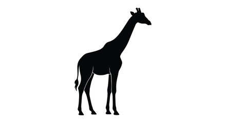 Fototapeta premium A black giraffe silhouette stands against a plain white background silhouette