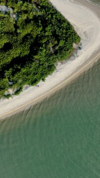 Florian&oacute;polis, Daniela Beach. Aerial View of Tropical Coastline. Establishing Shot. Santa Catarina, Brazil. Vertical video