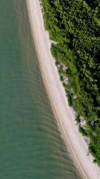 Florian&oacute;polis, Daniela Beach. Aerial View of Tropical Coastline. Establishing Shot. Santa Catarina, Brazil. Vertical video