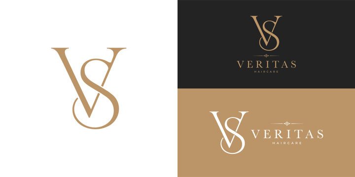 An elegant gold monogram featuring interlocking serif letters "V" and "S" in a refined cursive style, set against a white background, perfect for luxury hair branding.