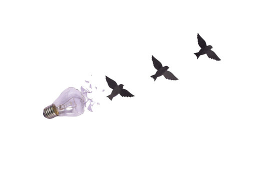 Shattering lightbulb transforming into birds flying high against white background representing creative freedom and new inspiration