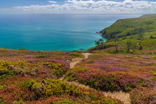 Landscape in Cap de la Chevre, Crozon, Brittany, France