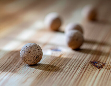 handmade round terracotta clay seed balls scattered across a textured natural wooden plank surface with soft shadows and sunlight