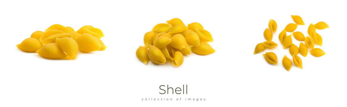 Uncooked shell pasta isolated on white background.