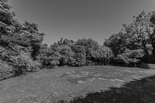 Monochromatic view of a peaceful open lawn surrounded by dense trees at Mejiro Garden May 2024