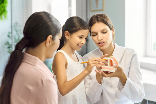 Dentist child mother in dental clinic consultation. The dentist shows a model and toothbrush, teaching oral hygiene and caries prevention. Friendly pediatric visit promotes dental prevention.