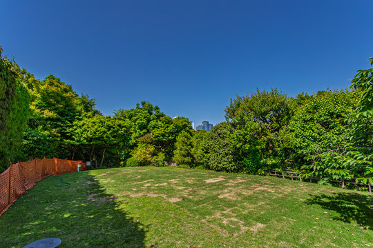 Wide-angle landscape of a sunlit green lawn under a deep blue sky at Mejiro Garden May 2024