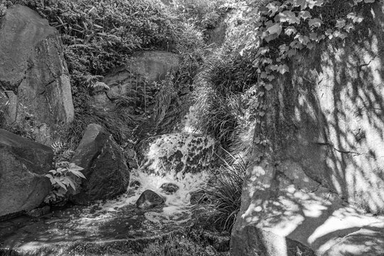 Monochromatic contrast of a foaming waterfall and rough rock textures at Mejiro Garden May 2024