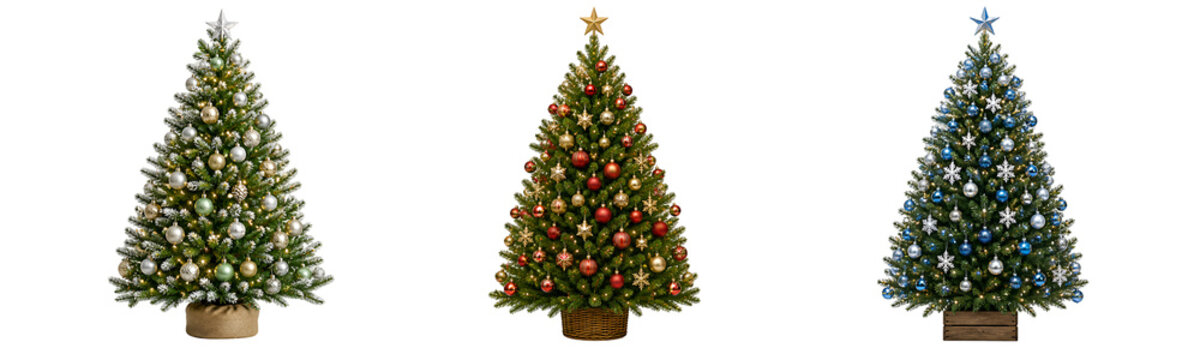 Decorated Christmas Trees in a Row