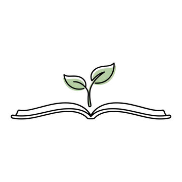 Sprouting seedling growing from open book during bright morning light concept for new knowledge development Isolated on transparent background