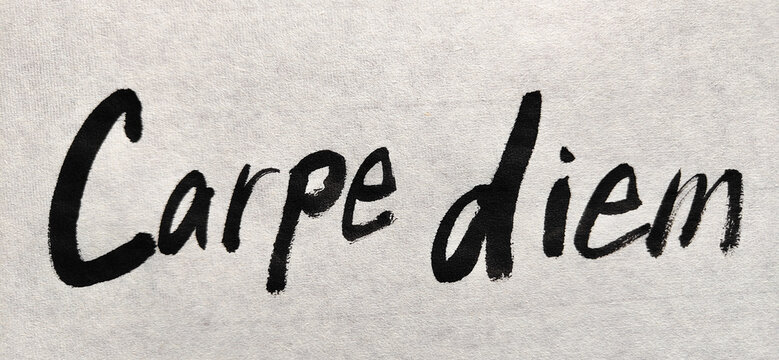 Carpe Diem ― 今この瞬間を生きる / カルペ・ディエム &ndash; Japanese Calligraphy of Seizing the Day