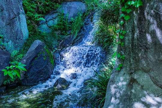 Cool stream cascading over rocks surrounded by vibrant green ferns at Mejiro Garden May 2024