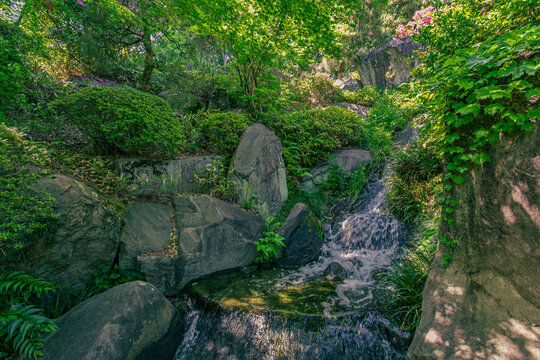 Scenic view of a garden waterfall nestled among lush greenery and rock formations at Mejiro Garden May 2024