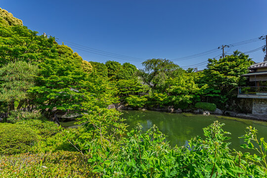 Deep blue sky reflecting over a lush pond framed by vibrant green trees at Mejiro Garden May 2024