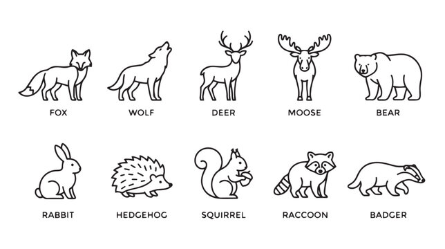 Minimalist forest animal icons set, 10 line art woodland creature vectors, black outline wildlife illustrations for logos and branding