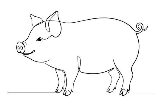 pig line art illustration