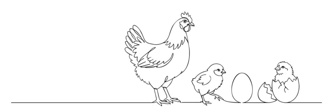 hen with hatching chicks and egg growth process line art