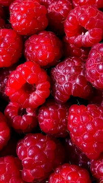 Fresh ripe raspberries filling the frame in a vibrant red close-up. Juicy berry texture and natural details create an appetizing fruit background for food advertising, packaging, healthy eating and su
