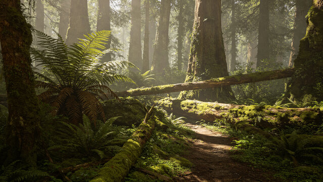 Uncivilized primeval forest floor with ferns and mossy logs