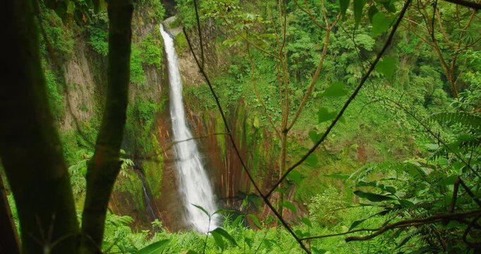 Tall waterfall Catarata del Toro drops into a lush green canyon in Costa Rica creating a scenic view