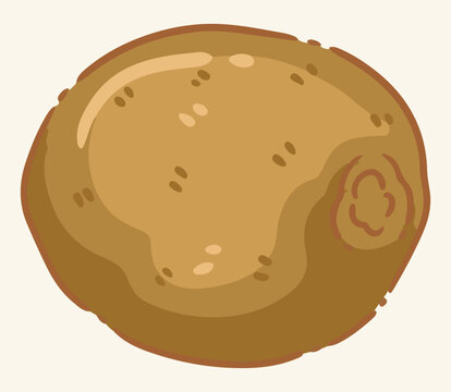 Niocte Fresh whole kiwi fruit close up, cute cartoon doodle vector illustration
