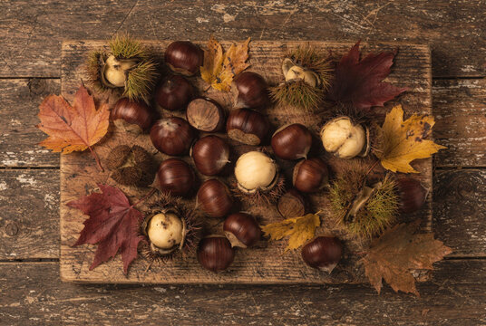 Autumn Chestnuts and Fallen Leaves on a Rustic Wooden Background