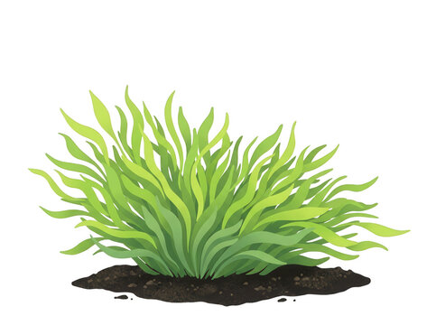 Illustrazione vettoriale di un cespuglio di erba verde rigogliosa che cresce su un piccolo cumulo di terra scura, isolato su sfondo bianco per progetti di design grafico e paesaggistico.