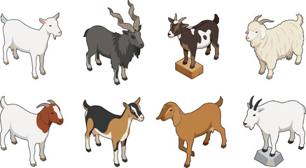 Obraz premium Isometric Domestic and Wild Goat Breed Vector Icon Set Featuring Markhor, Boer, Angora, Mountain Goat, and Livestock Farming Elements