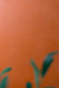 A terracotta textured wall background in warm orange-red tones with soft blurred plant leaves in the foreground, leaving open copy space for cosmetic product placement and beauty advertising.
