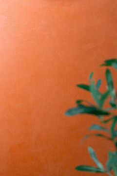 A terracotta textured wall background in warm orange-red tones with a green plant branch, providing a natural botanical contrast with open copy space for product placement and advertising.