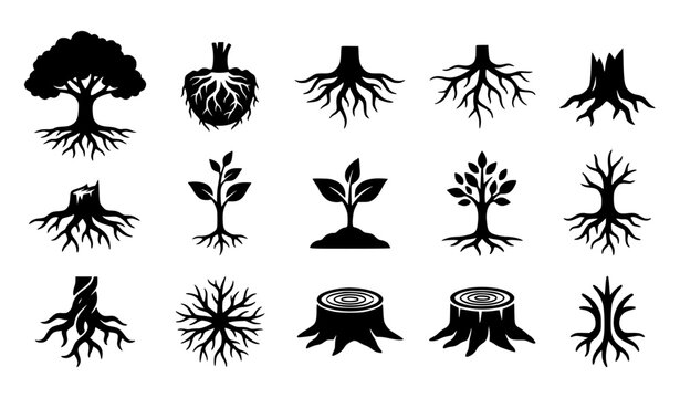 Tree Root System and Sapling Growth Black Silhouette Vector Icon Collection