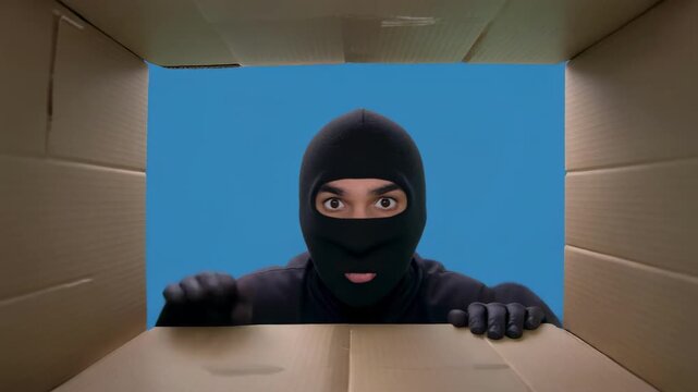 Ninja Emerging From Cardboard Box Against Blue Sky Dramatic Surprise Concept