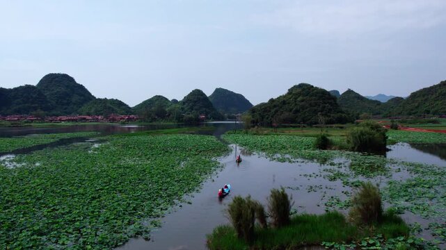 A calm wetland scene with dense aquatic plants covering parts of a lake, surrounded by limestone karst hills under a pale overcast sky.