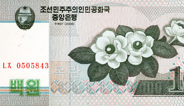 North Korean 100 won banknote featuring magnolia flowers. Siebold's magnolia. North Korean money.